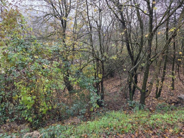 ufficio in vendita a Gaggio Montano in zona Marano