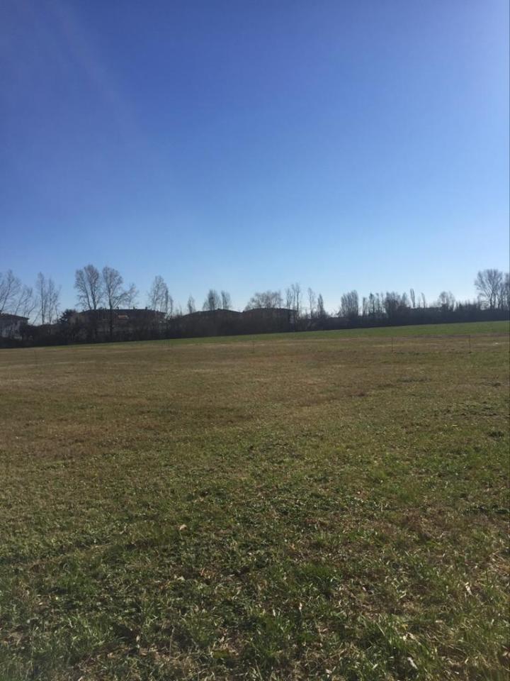 terreno agricolo in vendita a Galliera