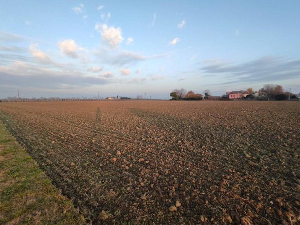 terreno agricolo in vendita a Galliera