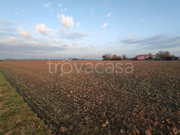 terreno agricolo in vendita a Galliera