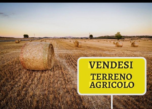 terreno agricolo in vendita a Granarolo dell'Emilia