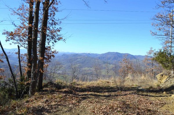 terreno agricolo in vendita a Grizzana Morandi in zona Campolo