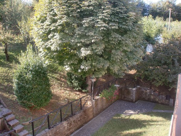 appartamento in vendita a Grizzana Morandi in zona Carviano