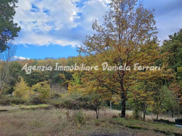 terreno agricolo in vendita a Grizzana Morandi