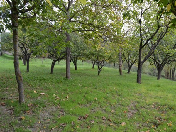 terreno edificabile in vendita a Grizzana Morandi