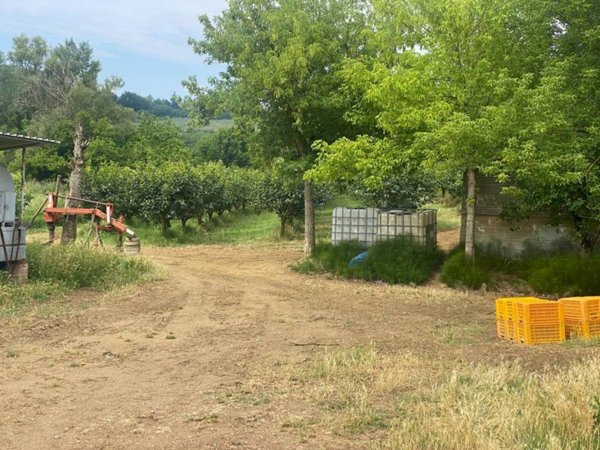 casa indipendente in vendita ad Imola