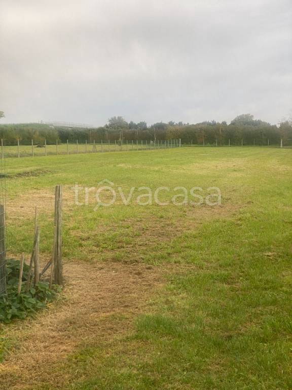 terreno agricolo in vendita ad Imola in zona Càsola Canina
