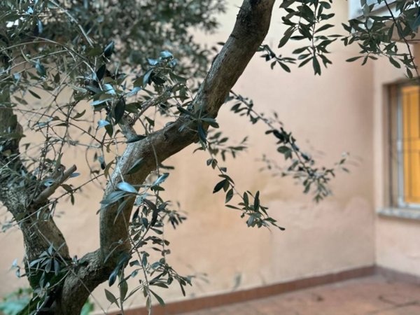 appartamento in vendita ad Imola in zona Centro Storico