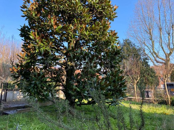 casa indipendente in vendita ad Imola