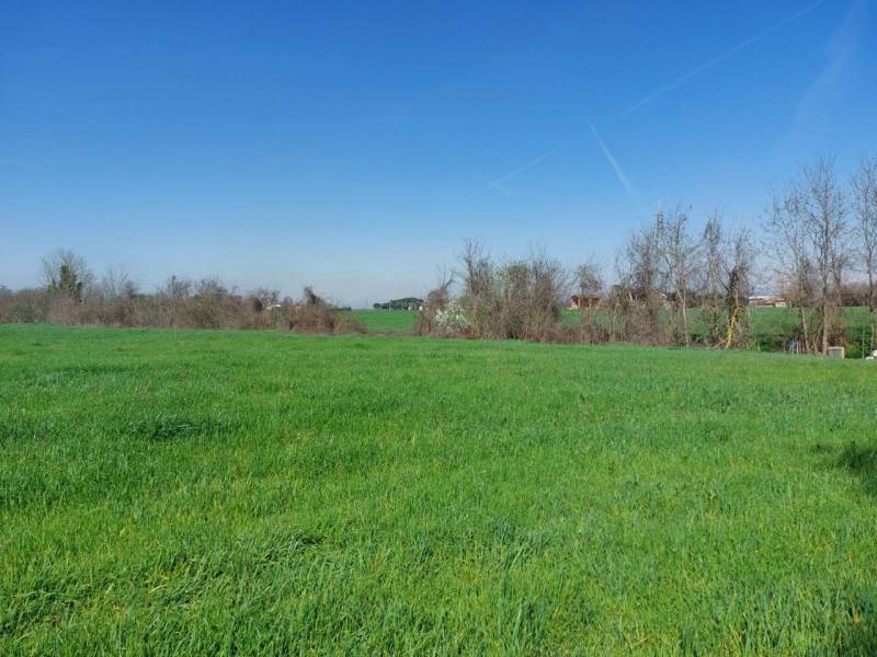 terreno edificabile in vendita ad Imola