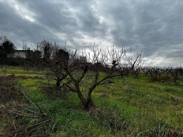 terreno agricolo in vendita ad Imola in zona Pedagna