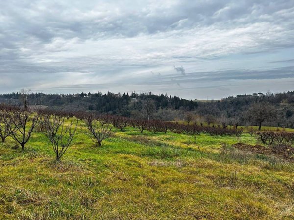 terreno agricolo in vendita ad Imola in zona Pedagna