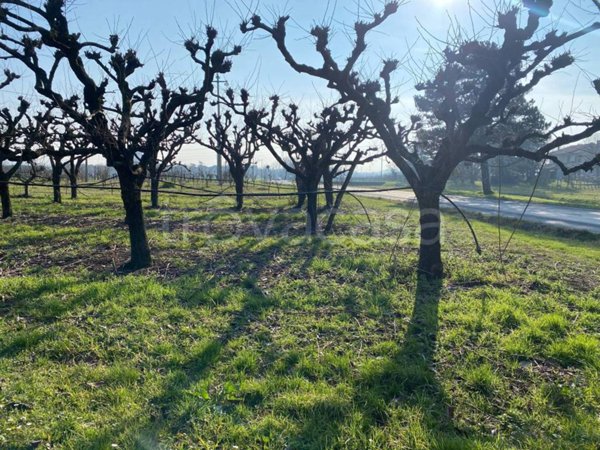 terreno agricolo in vendita ad Imola