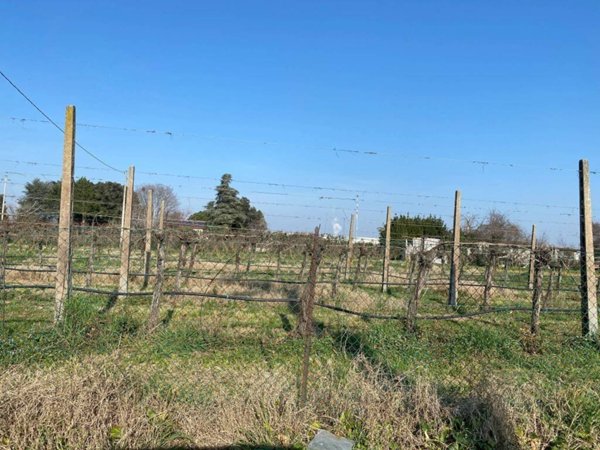 terreno agricolo in vendita ad Imola