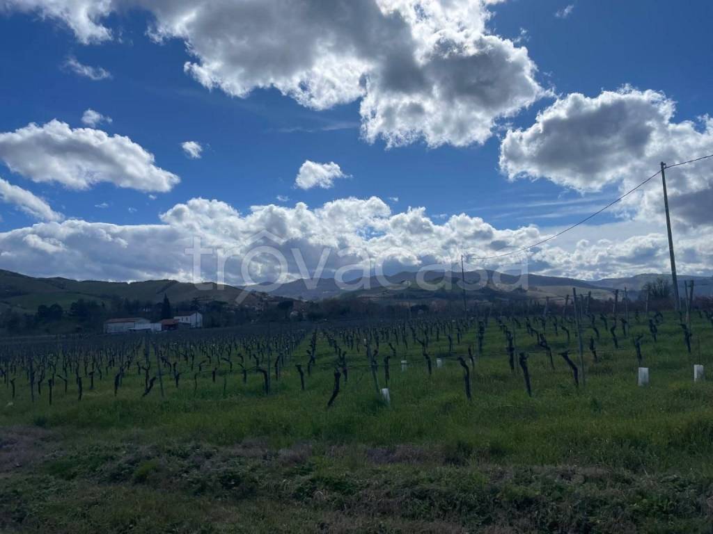 terreno agricolo in vendita ad Imola in zona Ponticelli