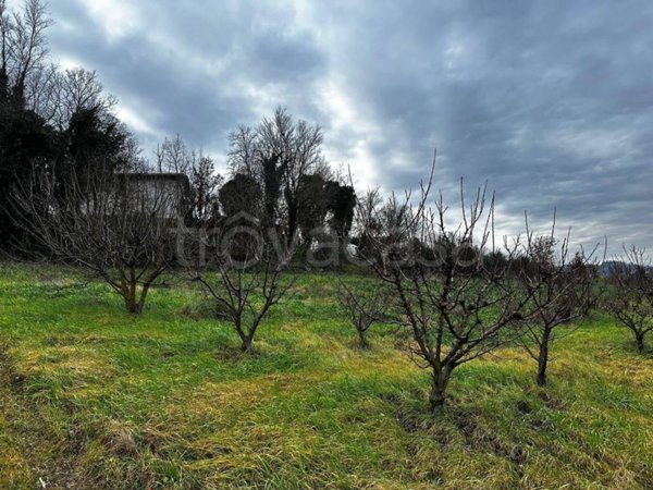 terreno agricolo in vendita ad Imola