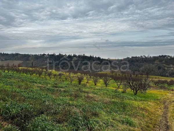 terreno agricolo in vendita ad Imola
