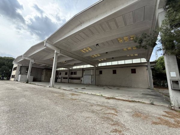 capannone in vendita ad Imola in zona Càsola Canina
