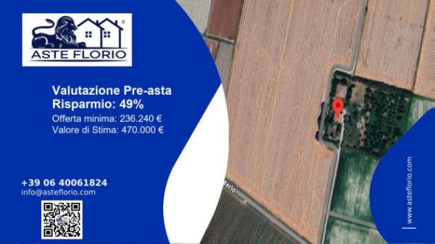 pentavano in vendita ad Imola in zona Spazzate Sassatelli