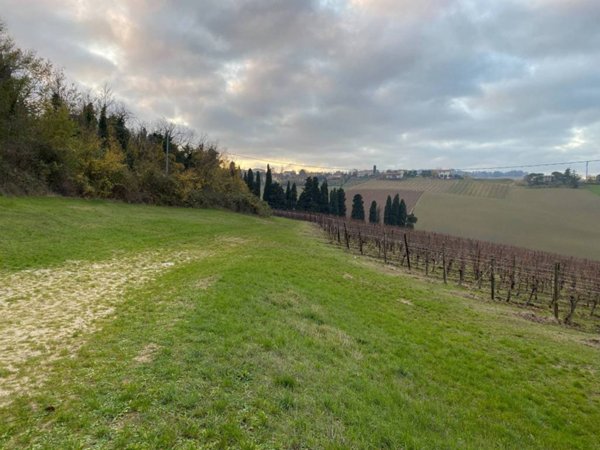 terreno agricolo in vendita ad Imola in zona Pedagna