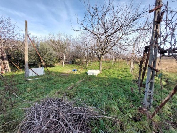 terreno agricolo in vendita ad Imola in zona Area Industriale