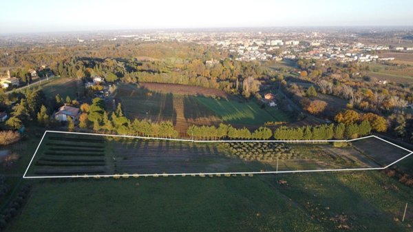 terreno agricolo in vendita ad Imola