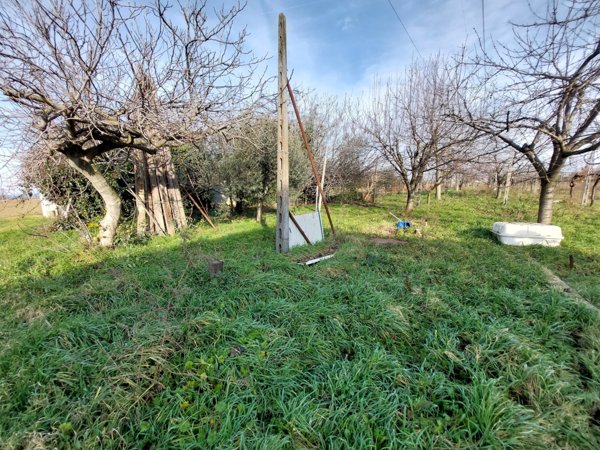 terreno agricolo in vendita ad Imola