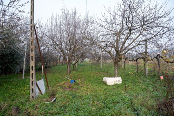 terreno agricolo in vendita ad Imola