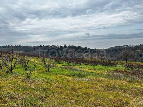 terreno agricolo in vendita ad Imola