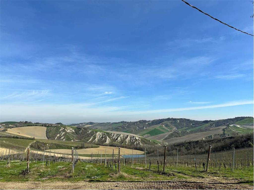 terreno agricolo in vendita ad Imola in zona Ponticelli