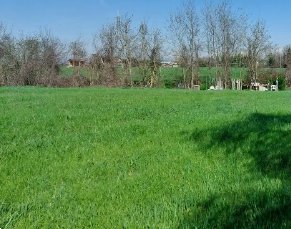terreno edificabile in vendita ad Imola