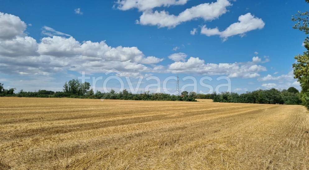 ufficio in vendita ad Imola