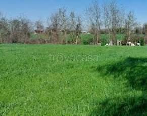 appartamento in vendita ad Imola