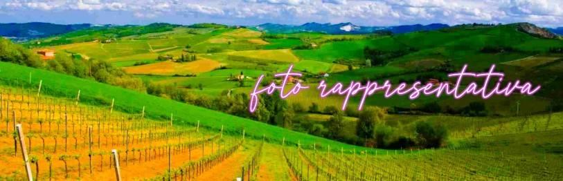 terreno agricolo in vendita ad Imola