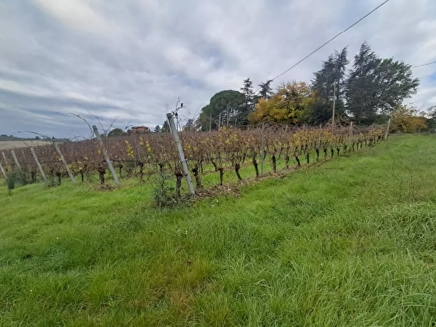 terreno agricolo in vendita ad Imola