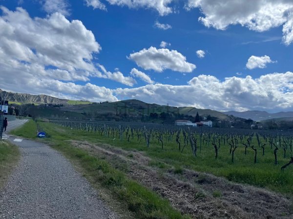 terreno agricolo in vendita ad Imola in zona Fabbrica