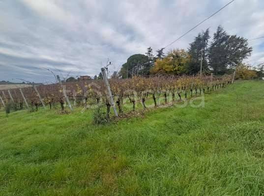 appartamento in vendita ad Imola