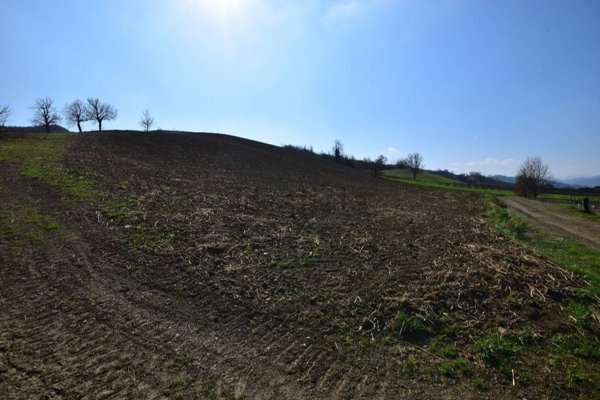 terreno agricolo in vendita ad Imola