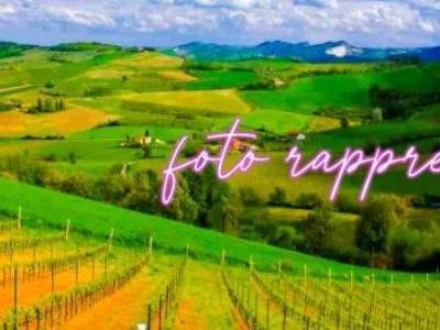 terreno agricolo in vendita ad Imola