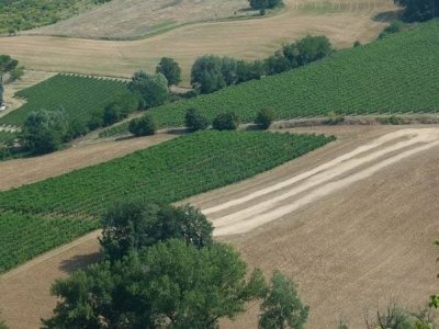 terreno agricolo in vendita ad Imola