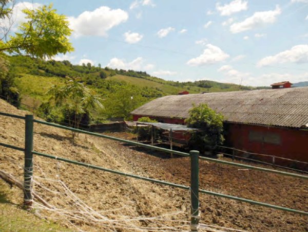 locale di sgombero in vendita ad Imola