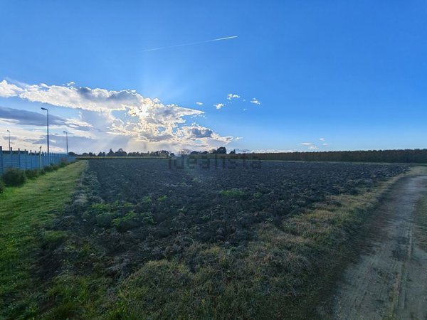 terreno agricolo in vendita ad Imola