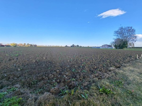terreno agricolo in vendita ad Imola in zona San Prospero