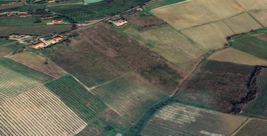 terreno agricolo in vendita ad Imola