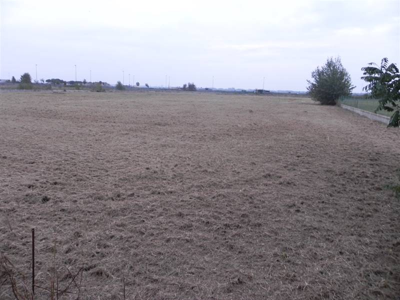 terreno agricolo in vendita ad Imola in zona Area Industriale