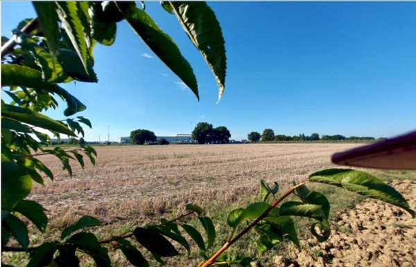 terreno agricolo in vendita ad Imola