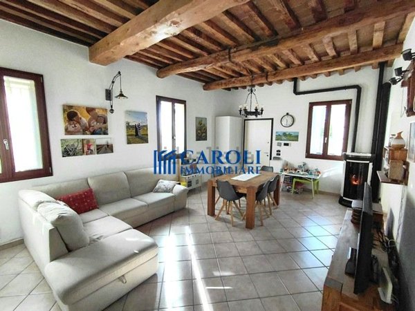 pentavano in vendita ad Imola in zona Càsola Canina