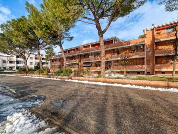 immagine annuncio 0 di 15