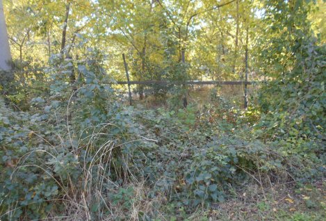 loft in vendita ad Imola