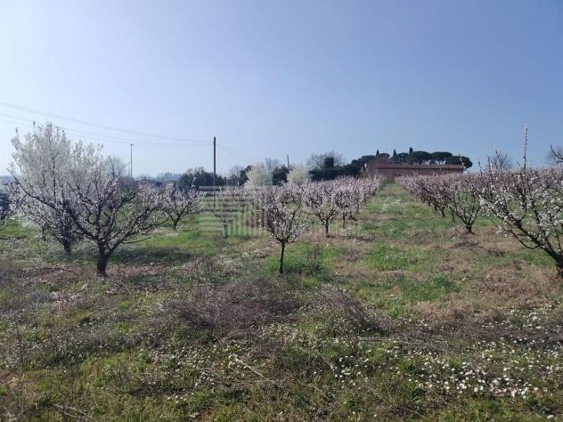 terreno agricolo in vendita ad Imola